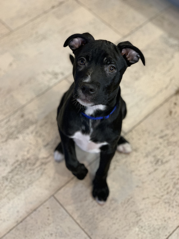 878A1128-67A8-4081-95A0-8BE884A86593