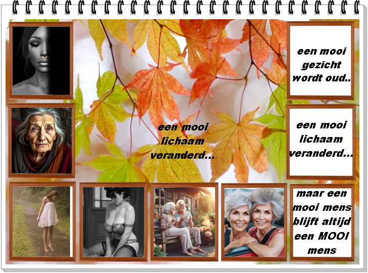 Klik op de afbeelding om de link te volgen