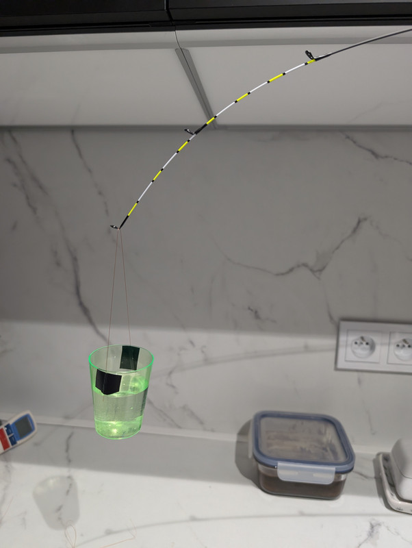 PXL 20260212 144902119