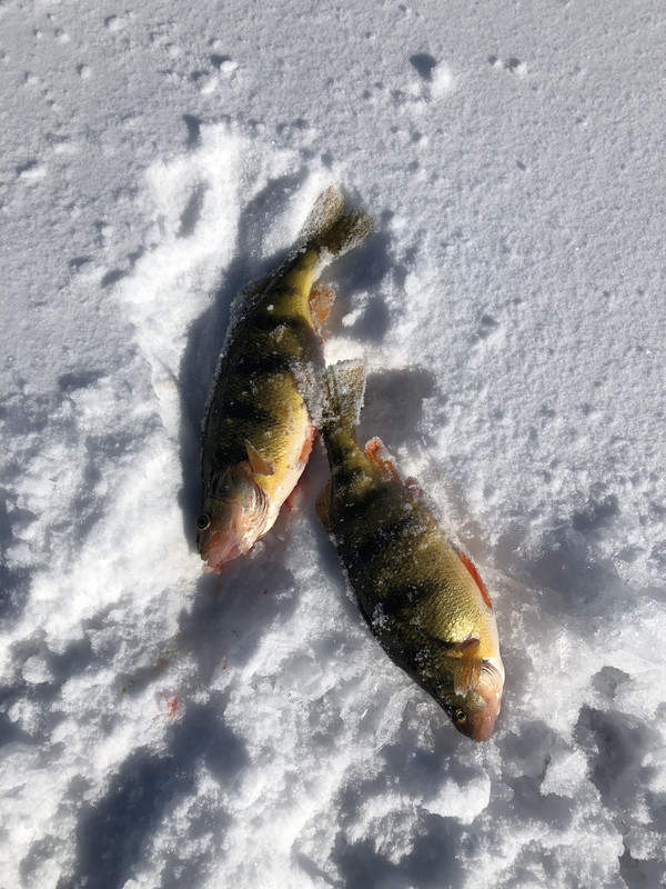 9B12F796-2703-470F-83CF-C087362B3484