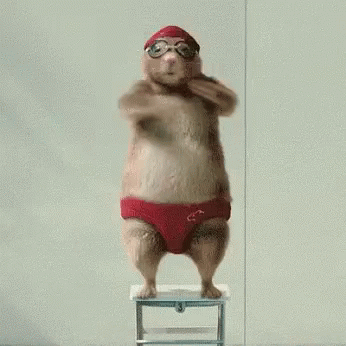 b3767d2721f4059df2897e3e051305ff.gif