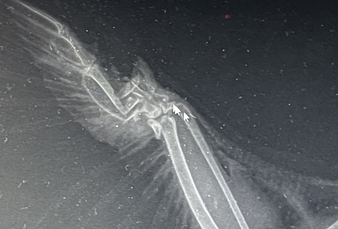 83847899-A930-47D8-AC82-69B88B2C635E