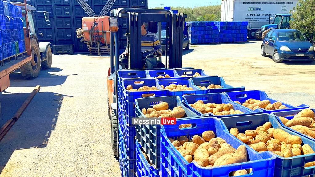 goumas-patates-IMG-5612