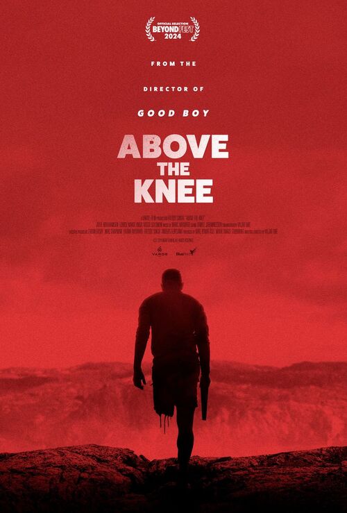 Amputacja - Above the Knee (2024) PL.1080p.WEB-DL.H.264-RX / Lektor PL