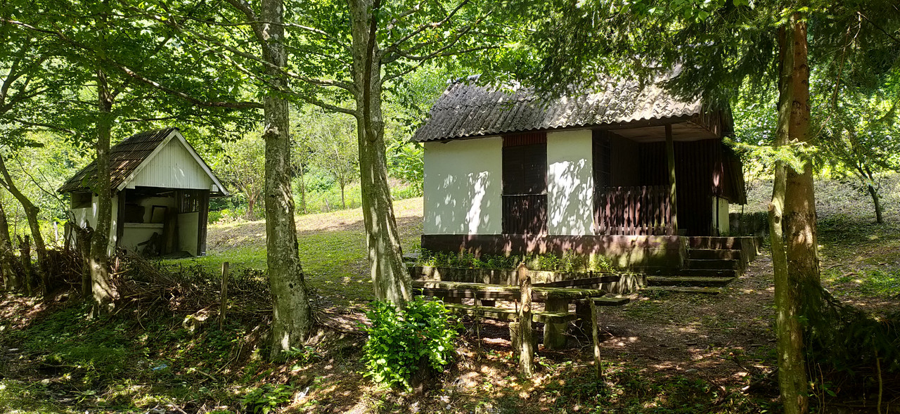 IMG20230813125835.jpg