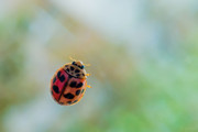 IMG-20190423-164249