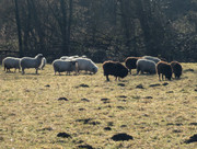 PXL 20260207 093455005