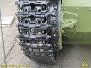 IMG-8859