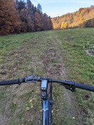 PXL_20211024_152337396.PORTRAIT