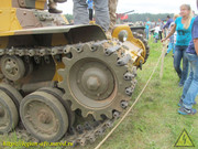 IMG-6564