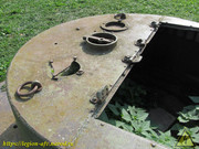 IMG-3543