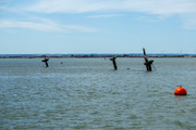 IMG-0242