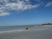 DSC01433
