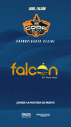 FALCON-LTT