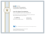 Lean Six Sigma Foundations