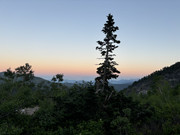 [Image: IMG-4735.jpg]