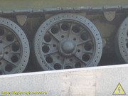 IMG-8719