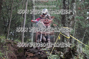 IMG-6597