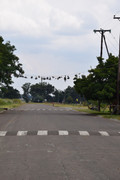 DSC-0023