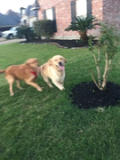 image_2023-02-02_231547709