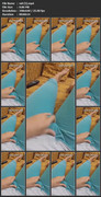 vid-(5)-mp4