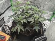 6. PXL_20240819_161841907.MP