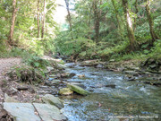 St Nectans Glen near Boscastle, Cornwall.