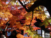 photo 5 2026 01 03 21 17 28