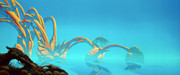 Roger Dean_8