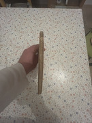 IMG-1905
