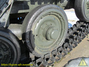IMG-3441