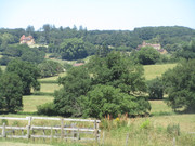 IMG-7661.jpg