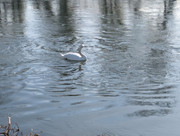 PXL 20260207 111533021