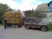 Зображення