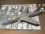 IMG-3235