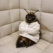 [Obrázky: file-00000000c09c7246bc9a12a8bbecc297.png]