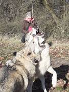 Obrázek WhatsApp, 2024-12-29 v 19.22.20_6c944221