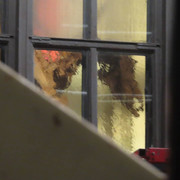 29-Transformers-Rise-Of-The-Beast-On-Set-NY-Museum-of-Archeology