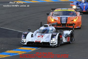 24 HEURES DU MANS YEAR BY YEAR PART SIX 2010 - 2019 - Page 20 2014-LM-3-Marco-Bonanomi-Filipe-Albuquerque-Oliver-Jarvis-003