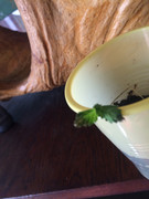 5F16A309-F8C6-42A8-A171-9952700FCE61