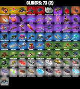 gliders-comp