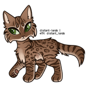 brown spotted bengal