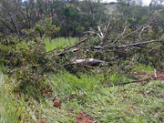 WhatsApp Image 2020-01-31 at 15.50.18 (2)