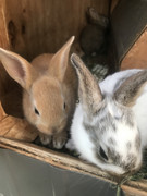 AD59F262-204E-4A04-B4F3-0A41010F629B