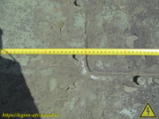 IMG-7035