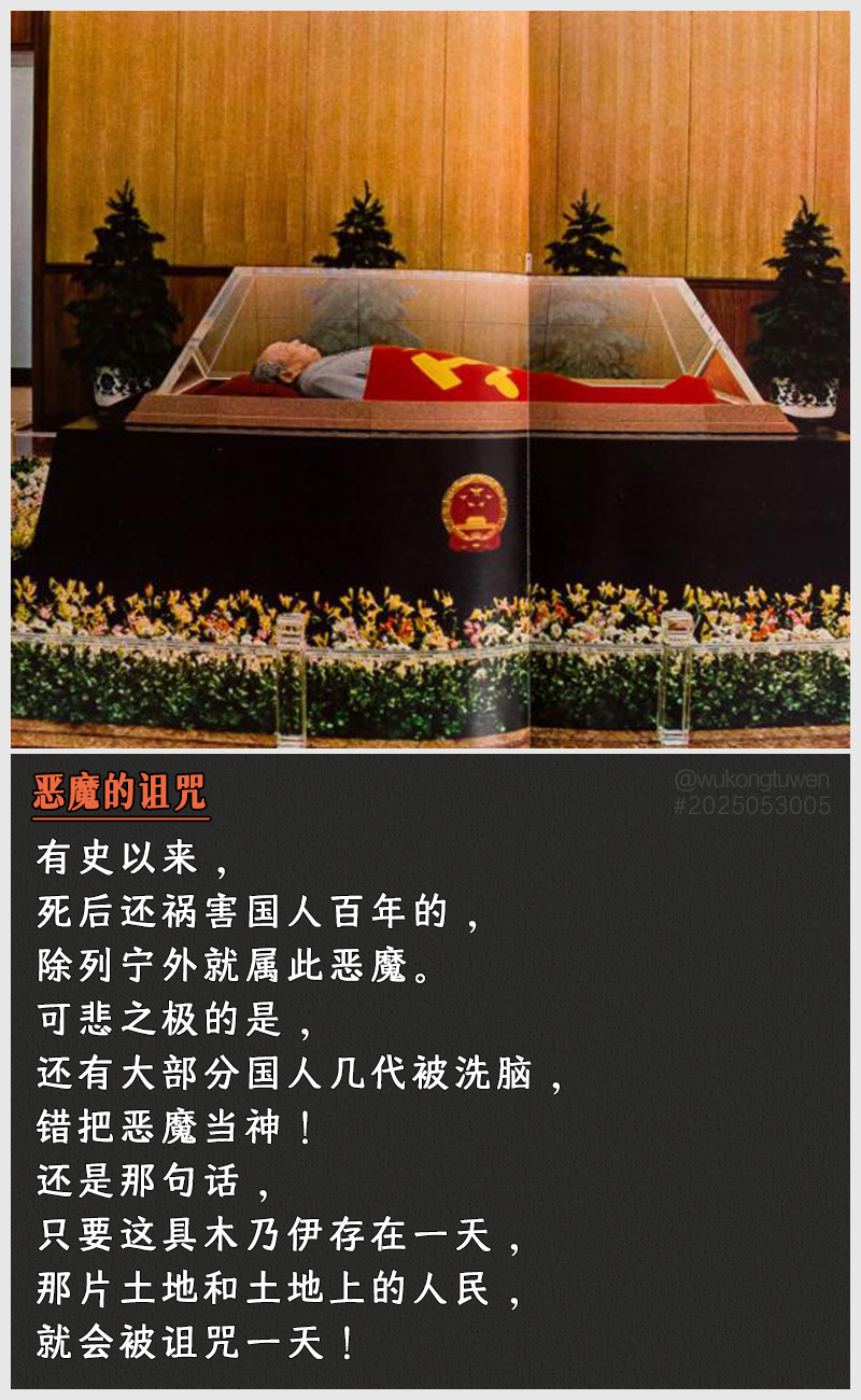 https://i.postimg.cc/xY5vyRQj/2025053005.jpg