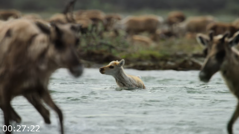 [Image: 07r8behzzrv9.png]