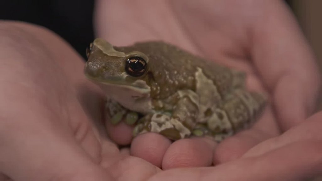 [Image: 9eav3kmcq4f2.jpg]