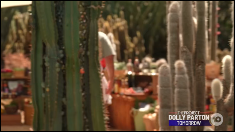 [Image: oy873bk5kaej.png]