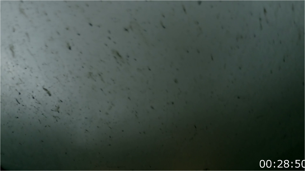 [Image: 5qyfpp7h32sg.png]